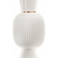 Allegra Magnifying Patchouli Essence (Women)